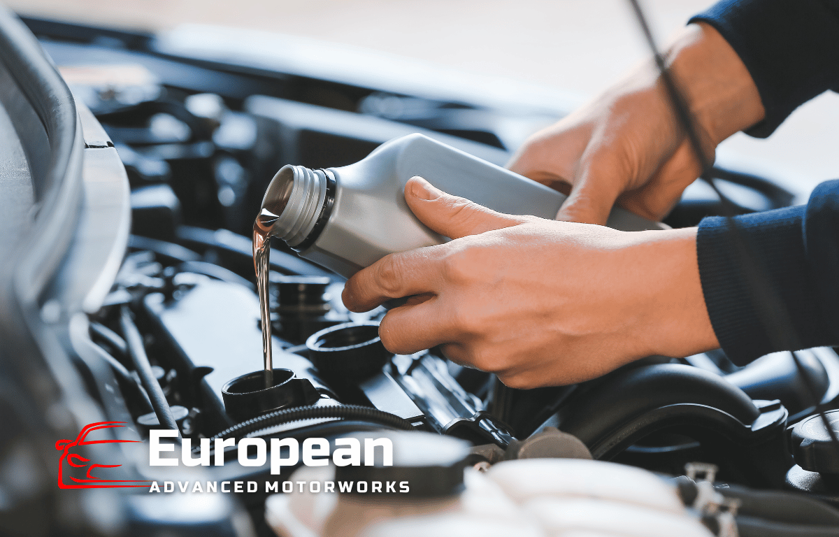 Qualified car mechanic changing oil for clients car